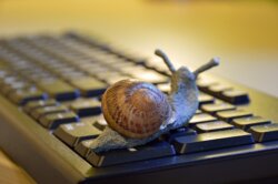 Schnecke auf Tastatur: Entschleunigung im Alltag